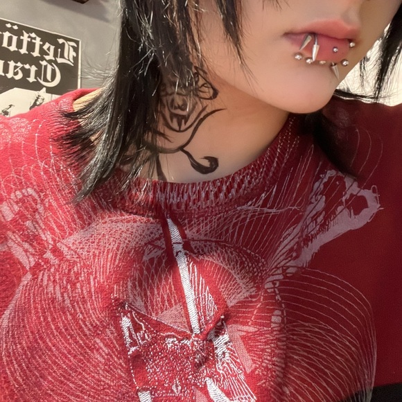 Meet the posher - Picture 2 of 4